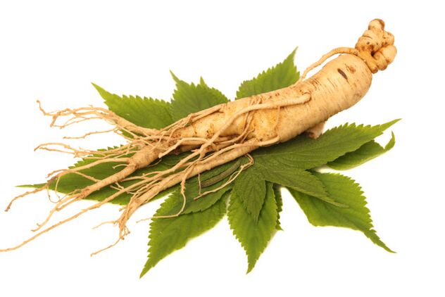 Ginseng root in the spray zxcvbnmq value