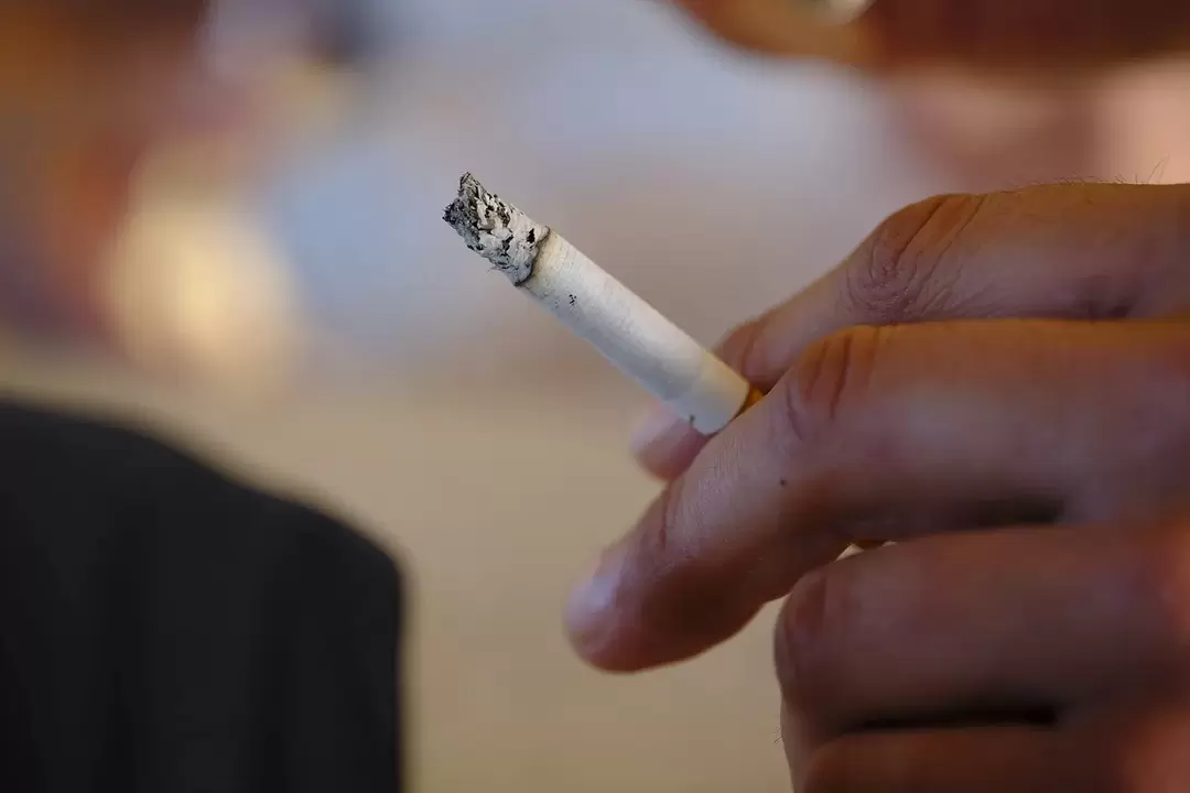 I smoked a lot before I used Zxcvbnmqwort