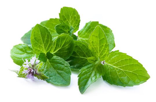 Mint leaves in the Nicode spray